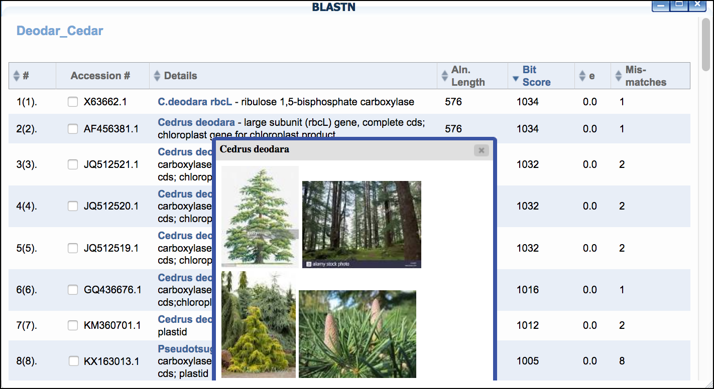 blue_blast